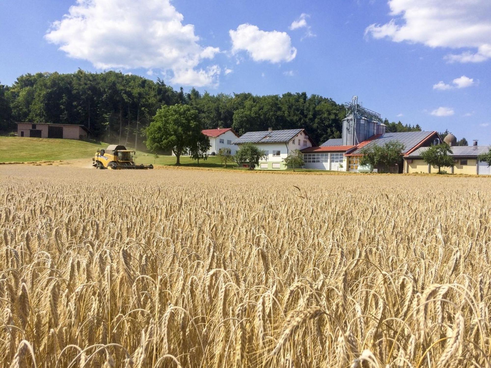 Hof Am Horn - Fewos In Der Natur Laichingen Exterior photo